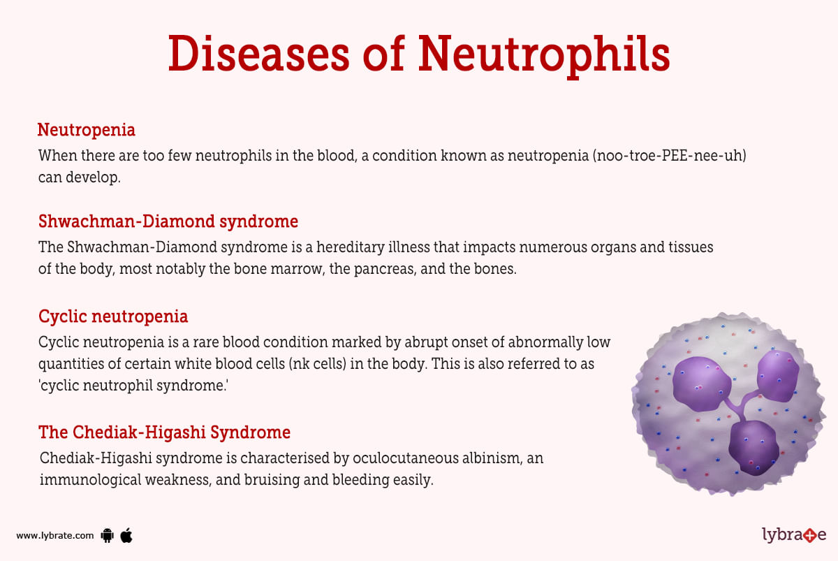 neutrophils-human-anatomy-image-functions-diseases-and-treatments