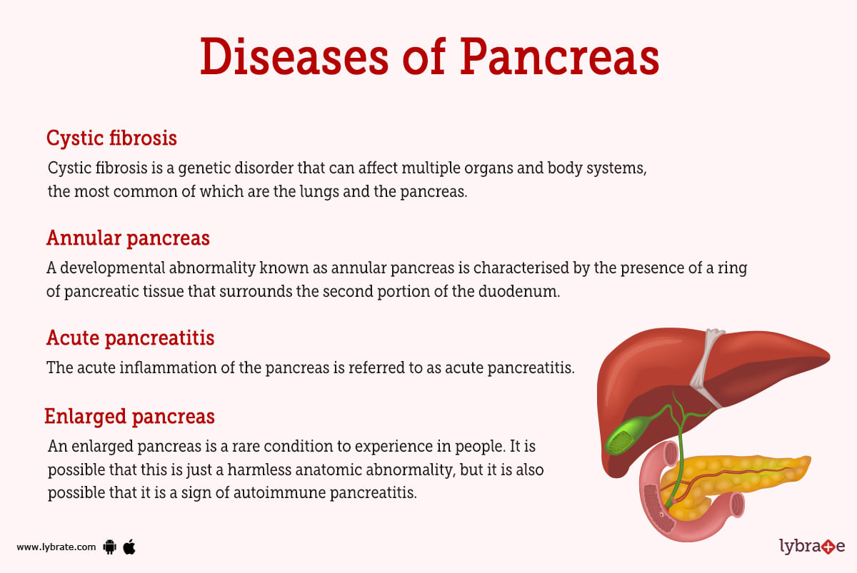 pancreas-human-anatomy-picture-function-diseases-tests-and