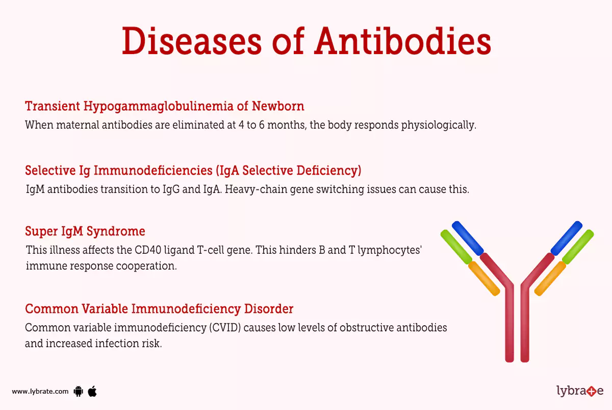 antibodies-human-anatomy-picture-functions-diseases-and-treatments