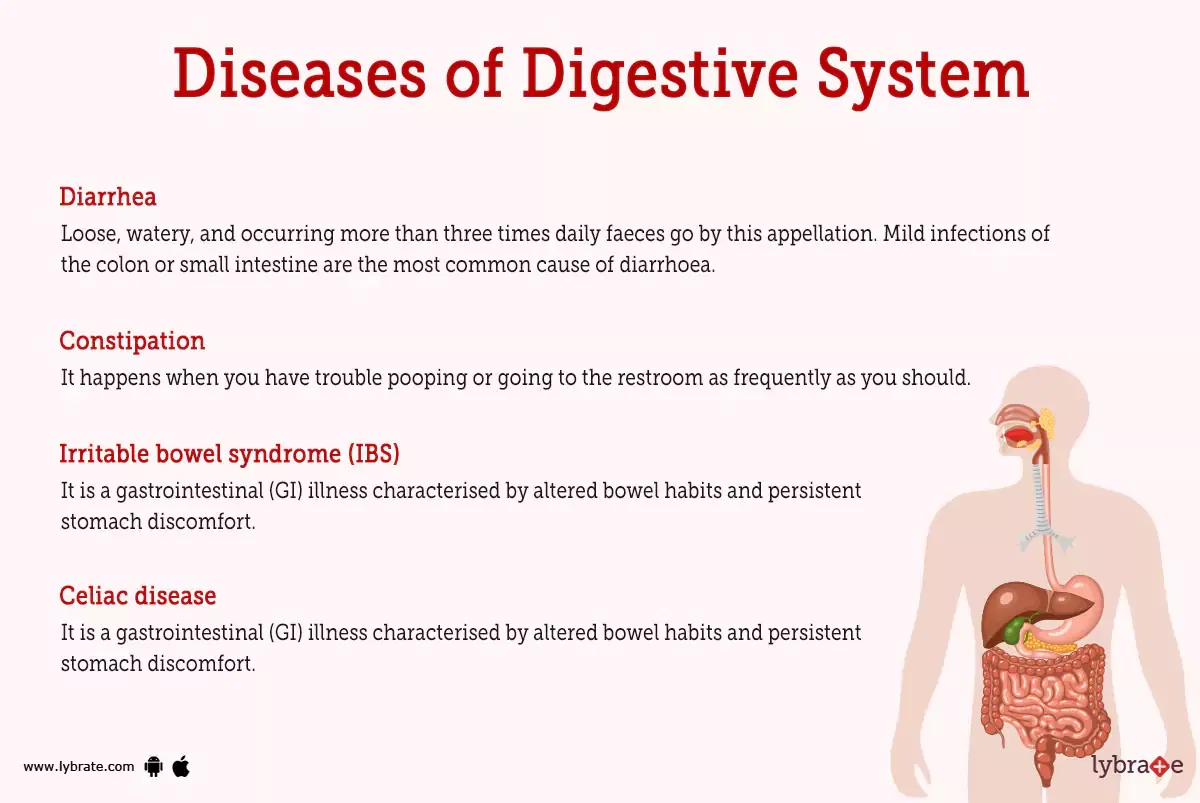 Digestive System Human Anatomy Picture Functions Diseases And 