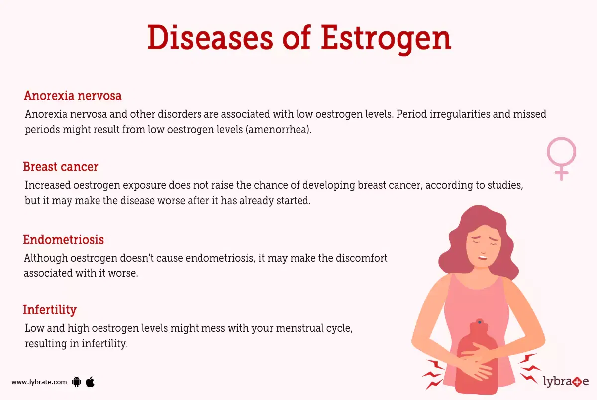 Estrogen (Human Anatomy): Image, Functions, Diseases and Treatments