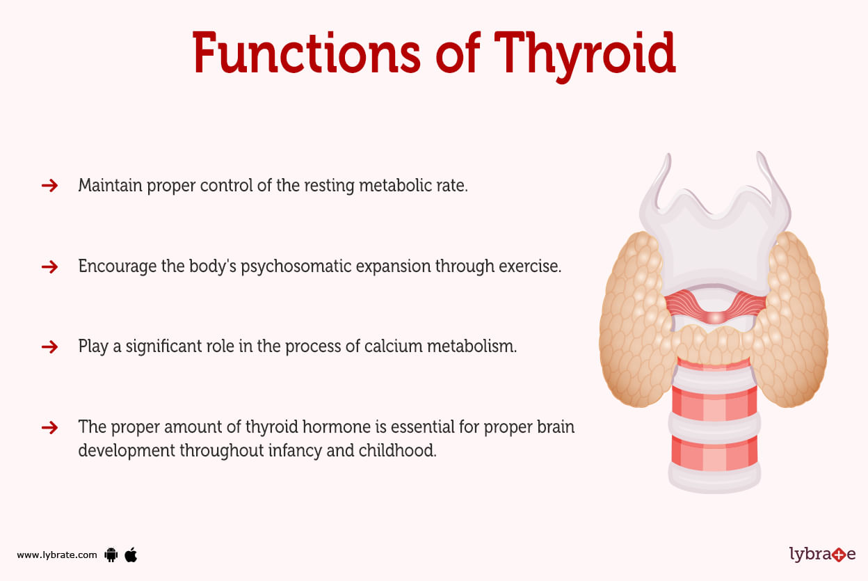 throid-human-anatomy-picture-function-diseases-tests-and-treatments