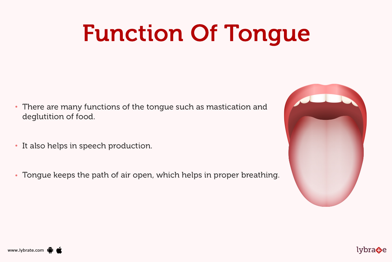 Tongue (Human Anatomy) Image, Function, Definition, Problems, and More