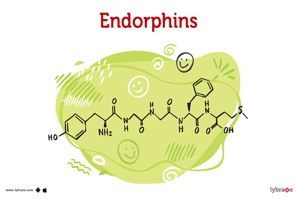 Endorphins (Human Anatomy) Image, Functions, Diseases and Treatments