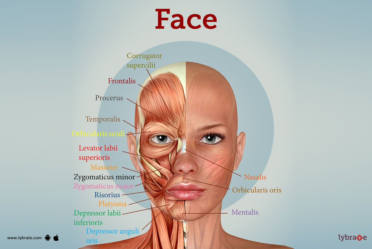 presentation of face definition