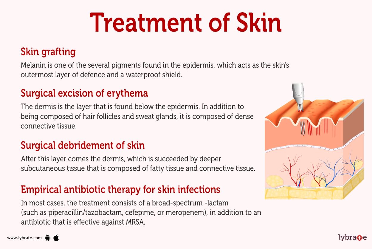 Skin (Human Anatomy): Picture, Function, Diseases, Tests, and Treatments