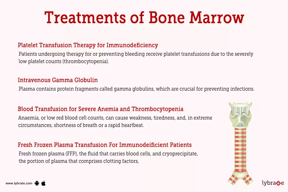 bone-marrow-human-anatomy-image-function-diseases-and-treatments