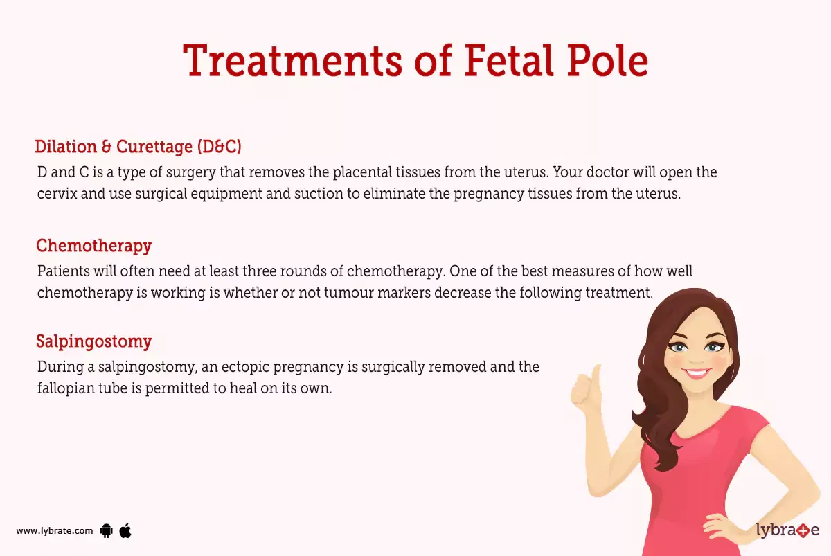 fetal-pole-human-anatomy-image-functions-diseases-and-treatments