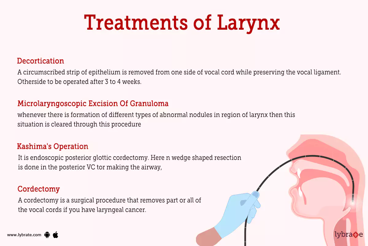 Larynx (Human Anatomy) Picture, Functions, Diseases, and Treatments