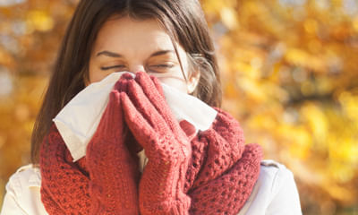 banner-image
