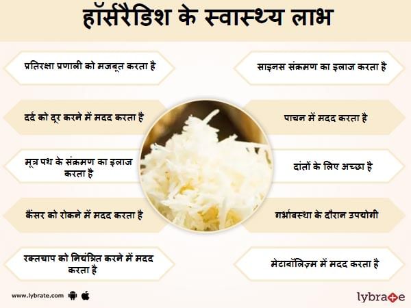 हॉर्सरैडिश के फायदे और नुकसान Benefits of Horseradish in Hindi