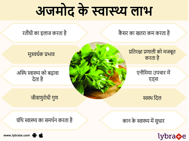 अजमोद के लाभ और इसके दुष्प्रभाव Benefits of Parsley in Hindi