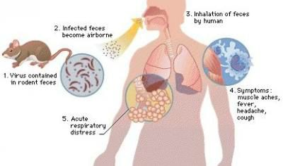 Topic Image