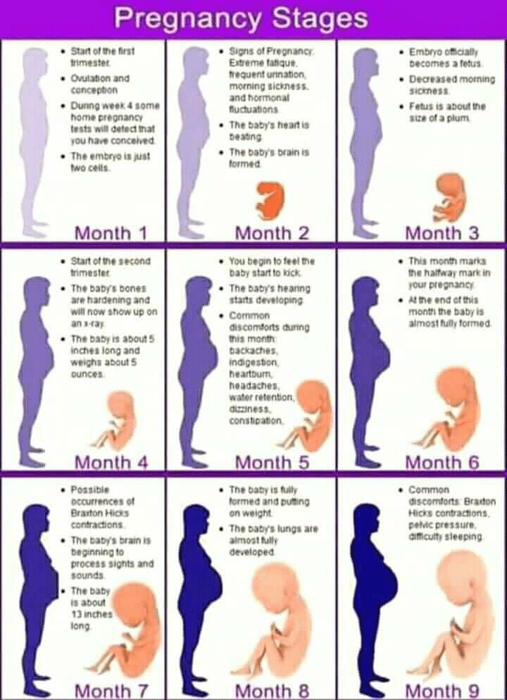 Topic Image