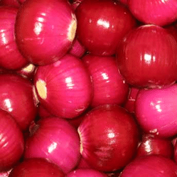 Topic Image