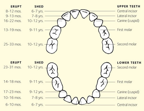 Topic Image