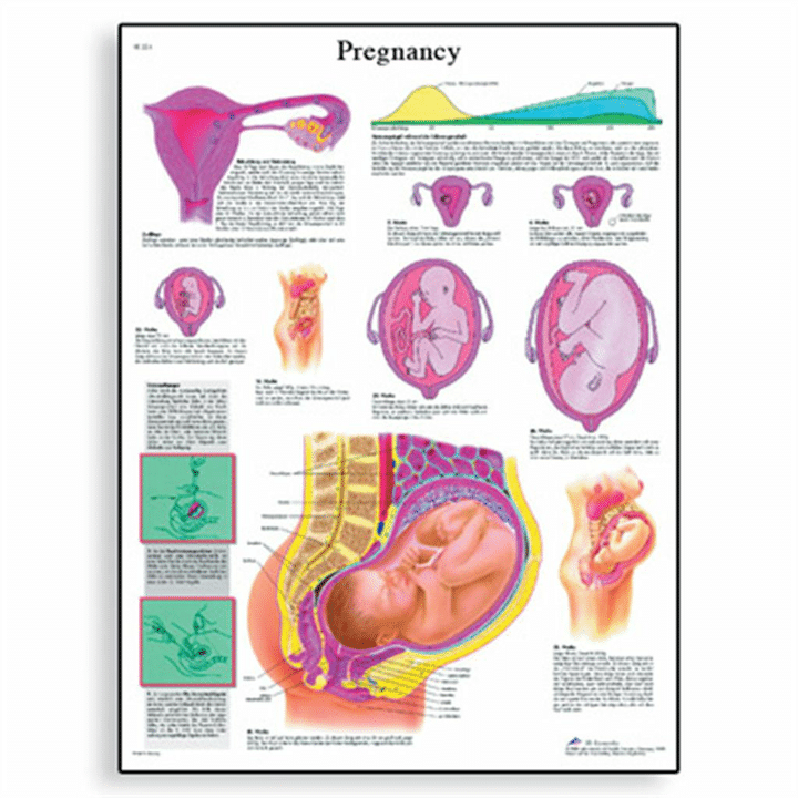 Topic Image