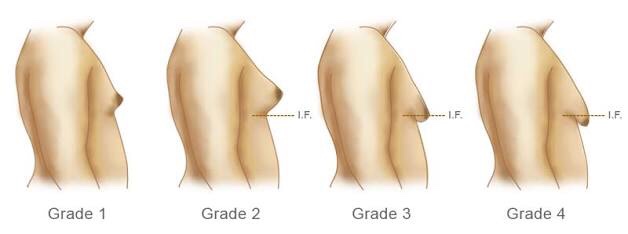 Topic Image