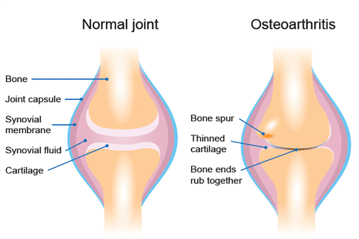 Topic Image