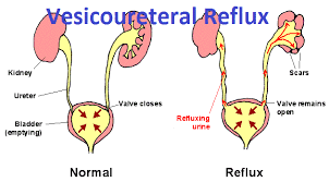 Topic Image