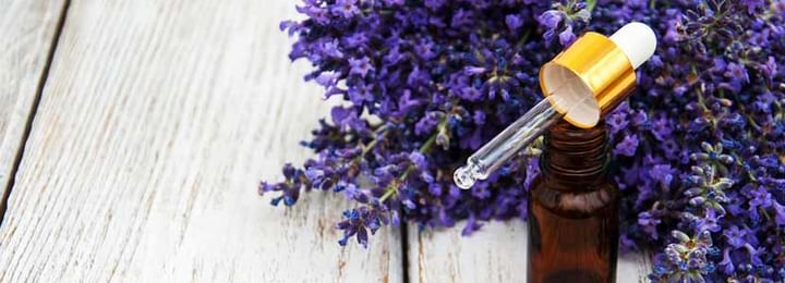 Benefits of Lavender Oil And Its Side Effects | Lybrate