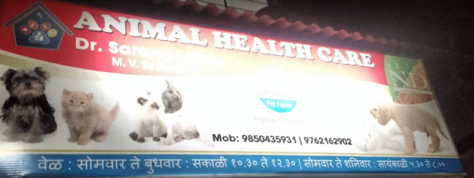 Dr katre pet clinic cheap