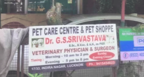 Pet care centre & hot sale clinic