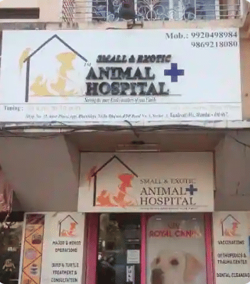 Small And Exotic Animal Hospital in Charkop, Mumbai - Book Appointment,  View Contact Number, Feedbacks, Address | Dr. Sharad Chavan