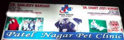 Dog and cat hot sale clinic ramesh nagar