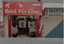 Royal store pet clinic