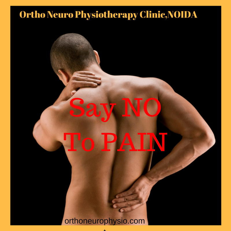 Ortho Neuro Chiropractic Physiotherapy Clinic In Sector 26 Noida Book Appointment View Contact Number Feedbacks Address Dr Vishwas Virmani