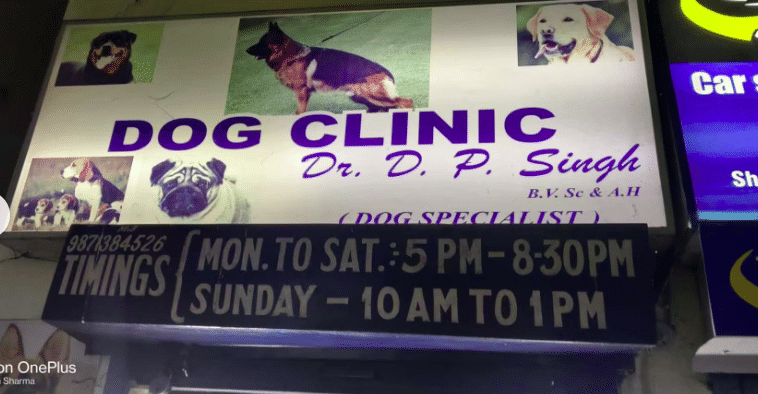 Dog clinic in vijay hot sale nagar