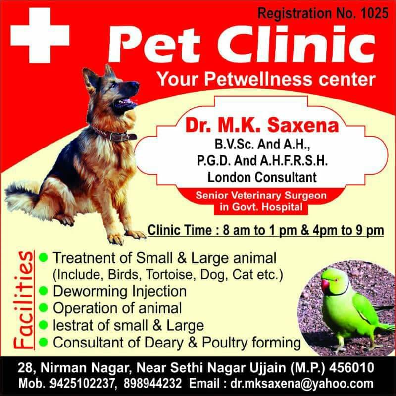 PET CLINIC in Sandipani Nagar, Ujjain - Book Appointment, View Contact  Number, Feedbacks, Address | Dr. M K Saxena