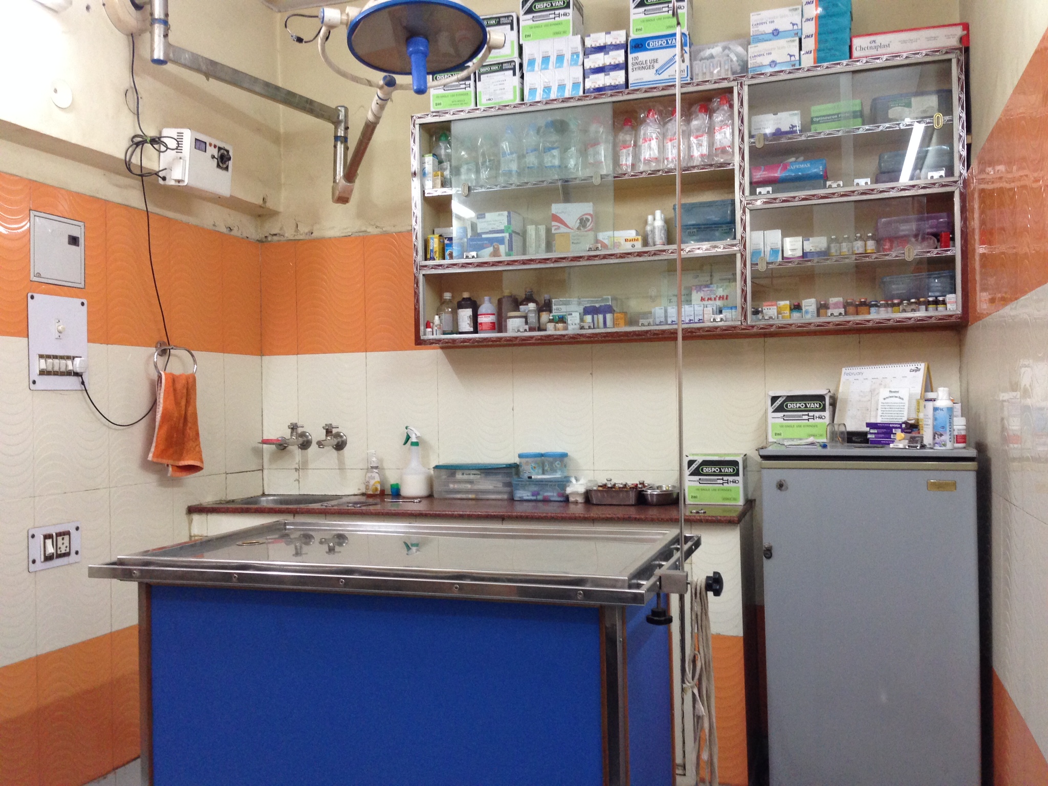 pet clinic in paschim vihar