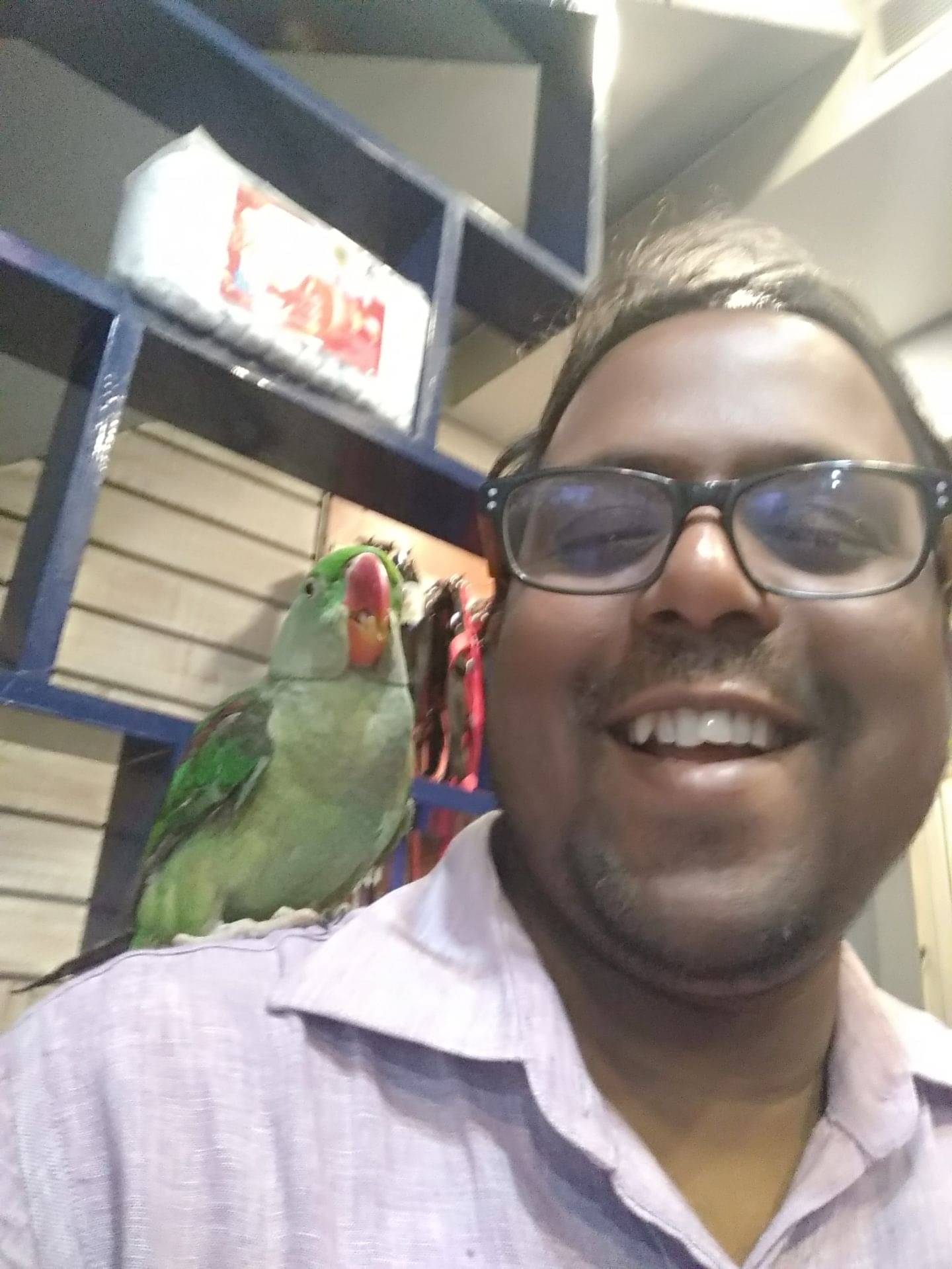 Treatments For Birds Doctors in Noida 