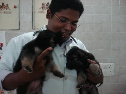 Tis hazari best sale dog hospital