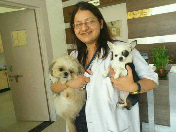 Animal Doctor in Ballabgarh, Faridabad - View Doctors, Book Appointment,  Consult Online