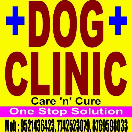 Goyal dog hot sale clinic