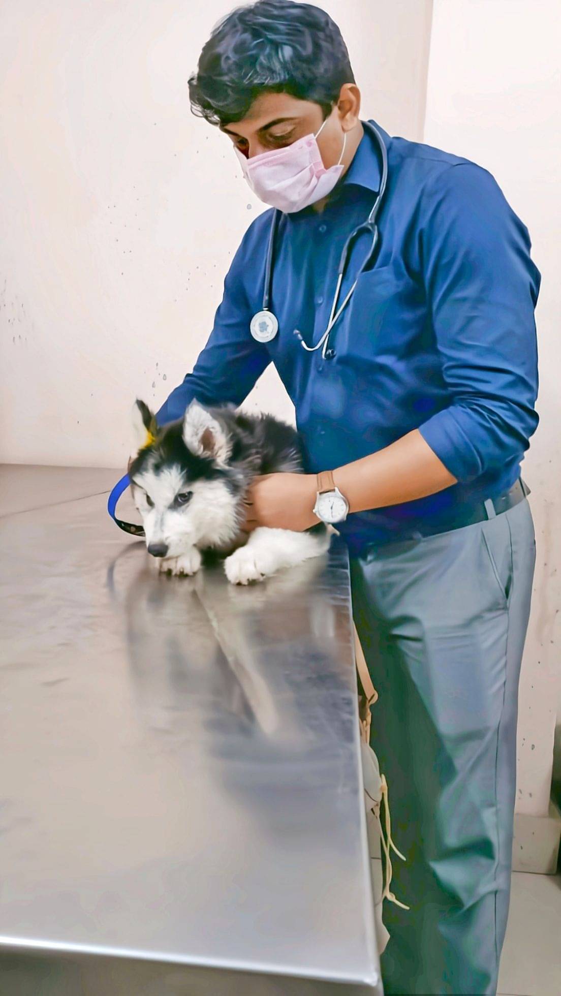 Veterinarians in Kolkata - Book Instant Appointment, Consult Online, View  Fees, Contact Numbers, Feedbacks