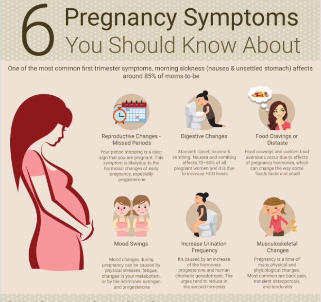 2nd Trimester Pregnancy Symptoms PregnancyWalls