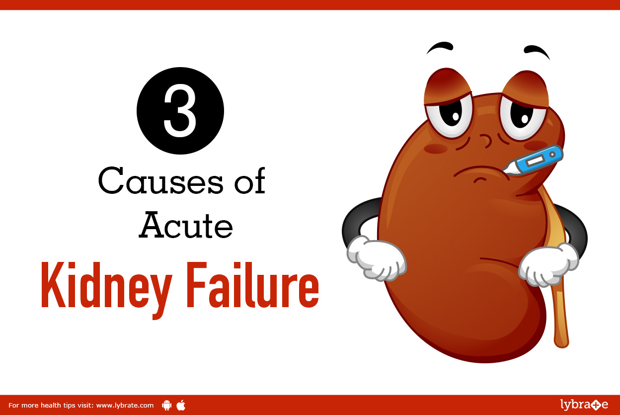 3 Causes Of Acute Kidney Failure By Dr Sanjiv Saxena Lybrate