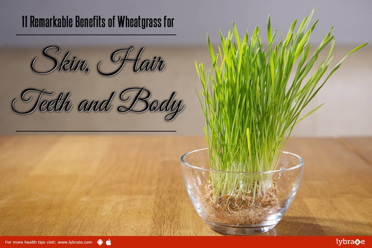 how-to-grow-wheatgrass-indoor