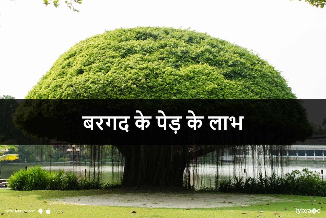 Banyan Tree Bark Meaning In Hindi - Food Ideas
