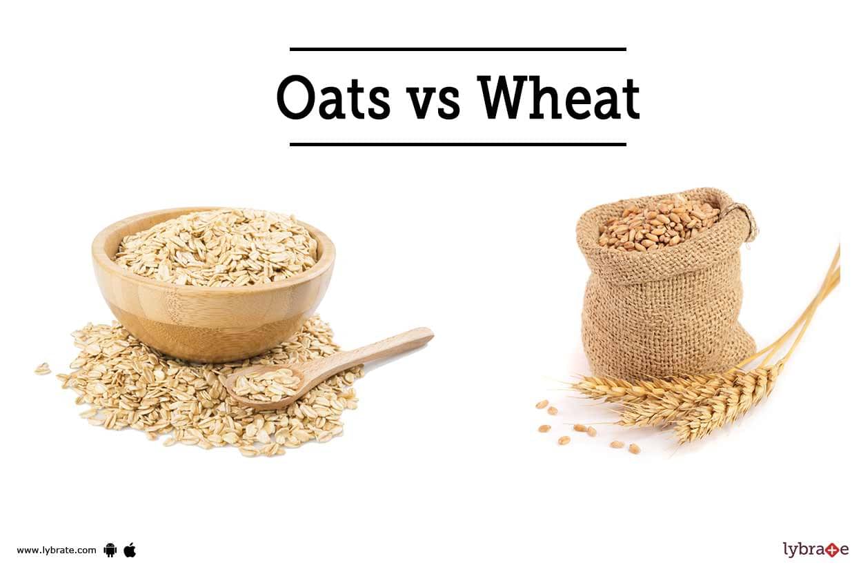 oats-vs-wheat-which-one-makes-a-healthiest-breakfast-by-dr