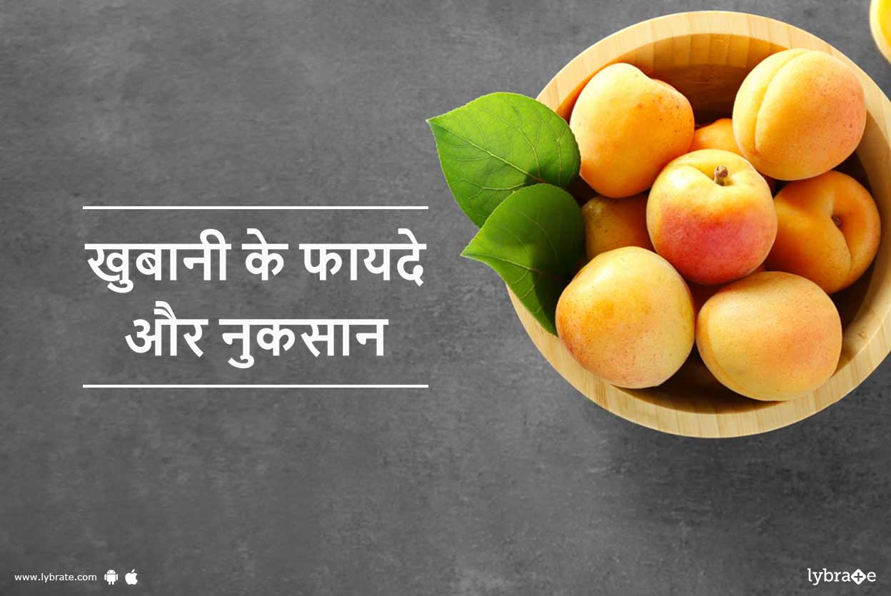 Apricot (Khubani) Benefits and Side Effects in Hindi खुबानी के फायदे
