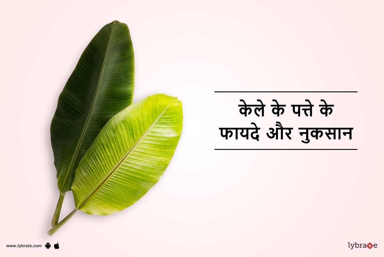 Banana Leaves Benefits Side Effects In Hindi केले के पत्ते के फायदे और नुकसान Lybrate