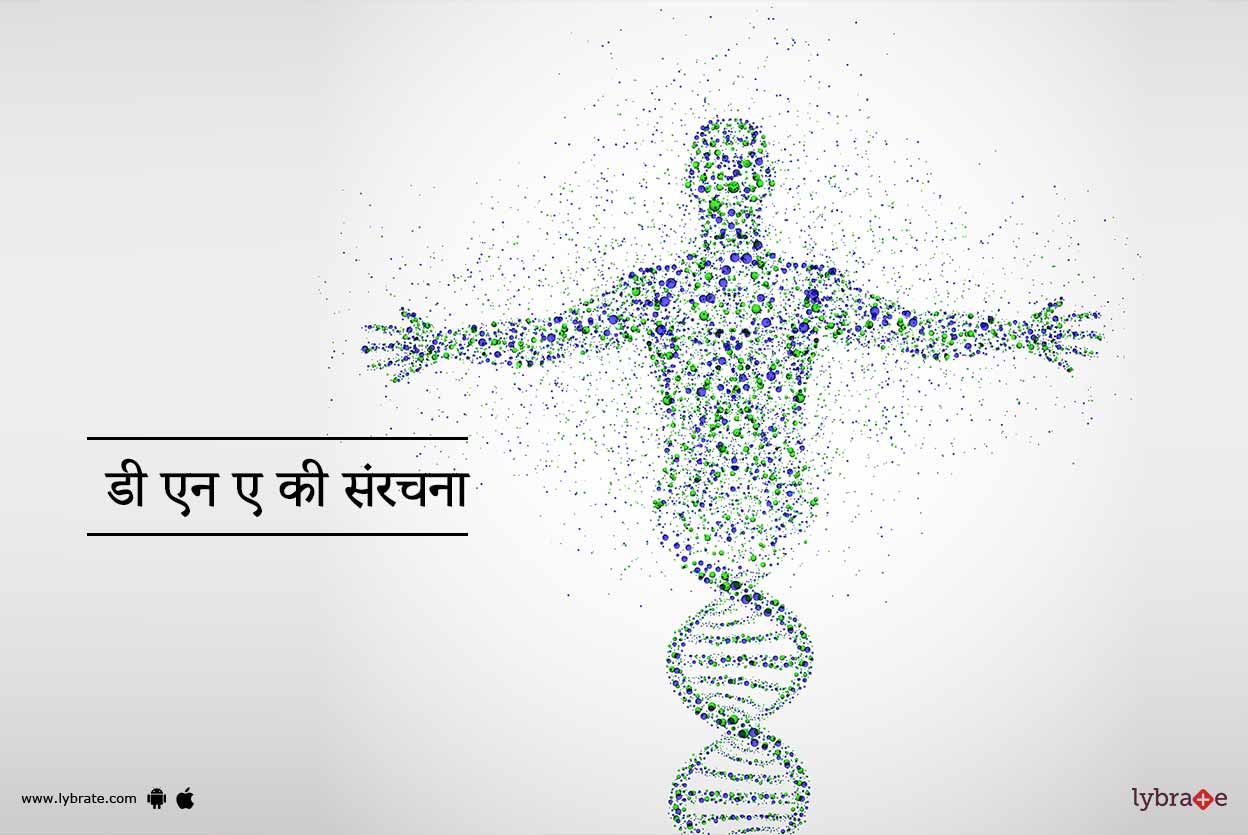 डी एन ए की संरचना - DNA Ki Sanrachna! - By Dr. Sanjeev Kumar Singh ...