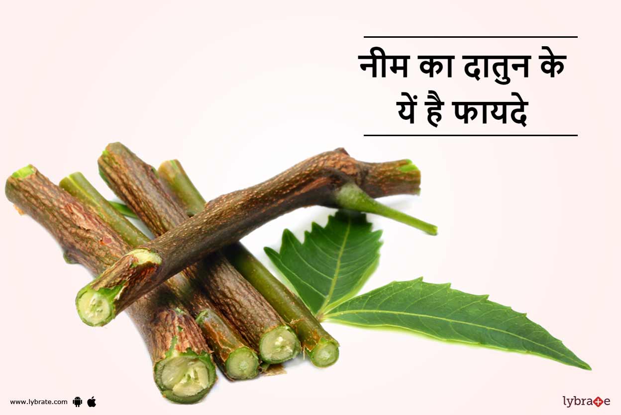 Benefits of Neem Datun in Hindi नीम का दातुन के यें है फायदे