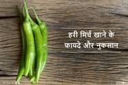  Green Chilli Benefits And Side Effects In Hindi 