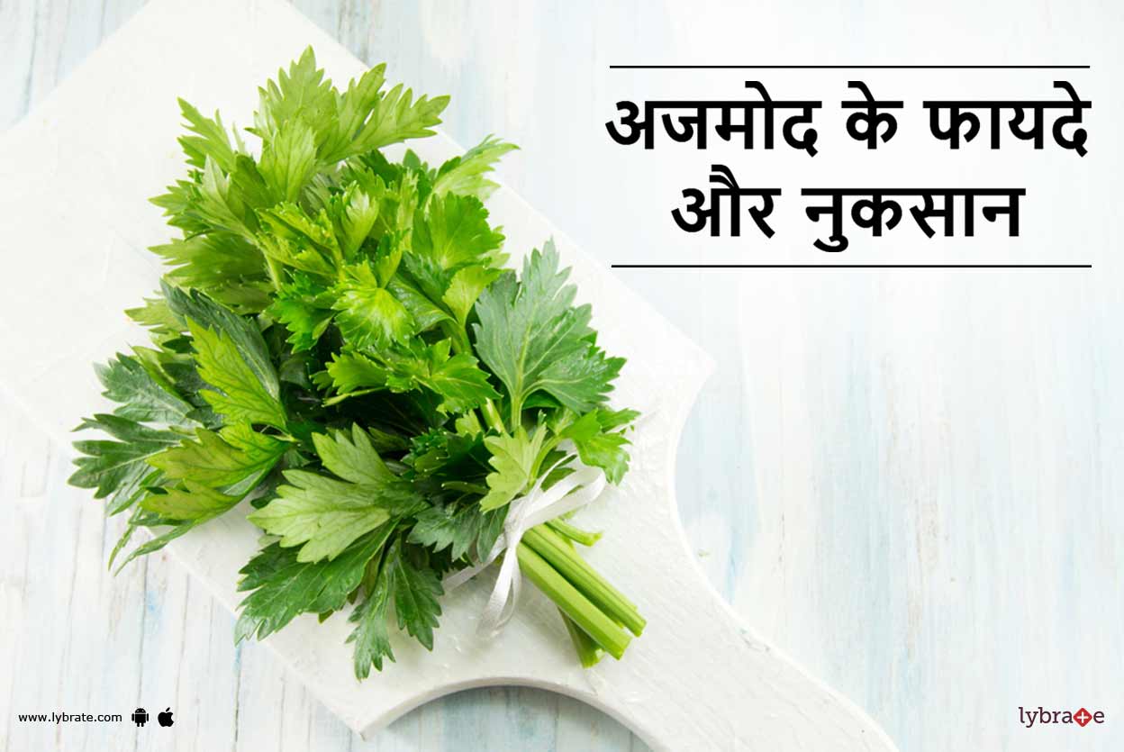 Celery (Ajmod) Benefits and Side Effects in Hindi अजमोद के फायदे और